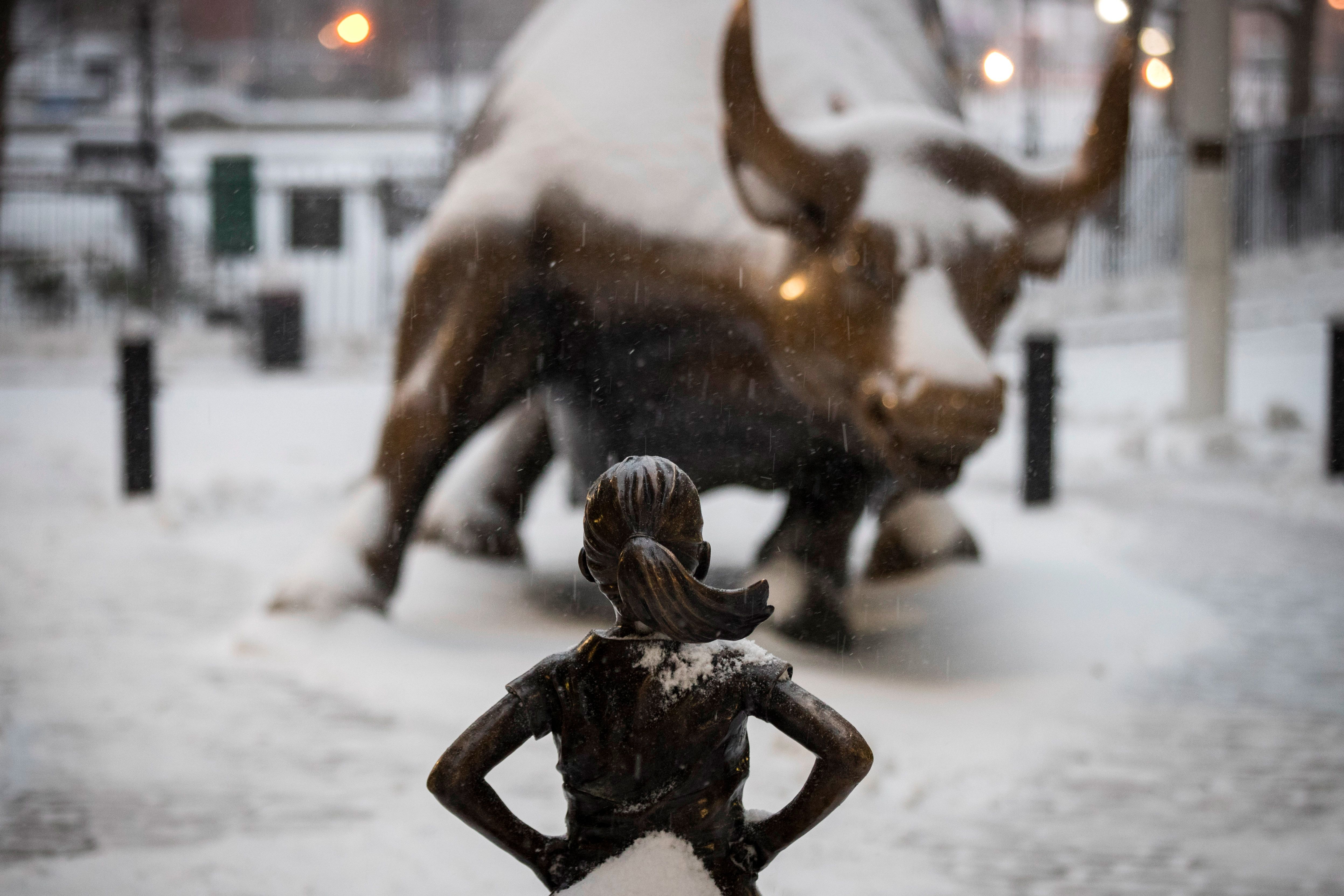 A Fearless Girl Faces Down Bull In Snowstorm A Fearless Girl Faces Down Bull In Snowstorm